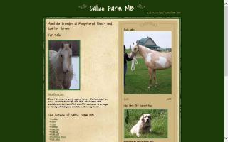 Calico Farm MB