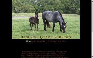 Bancroft Quarter Horses