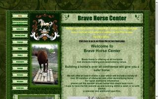 Brave Horse / Salado Creek Ranch
