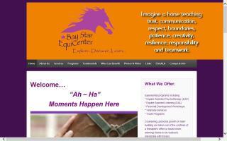 BayStar EquiCenter, LLC