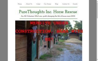 Pure Thoughts Horse Rescue