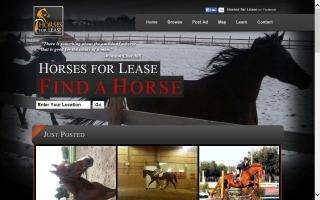 Horses for Lease