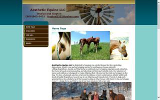 Aesthetic Equine LLC
