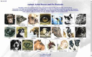 Animals Horses & Pet Portraits by Pam Reed