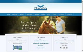 Pegasus Equine Therapy
