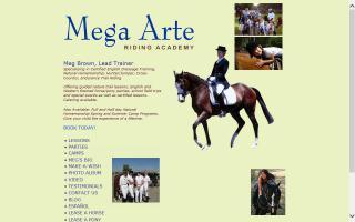 Mega Arte Riding Academy