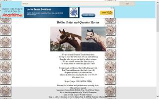 Bollier Paint and Quarter Horses