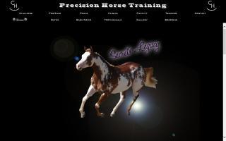 Precision Horse Training