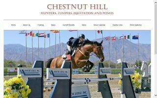 Chestnut Hill LLC