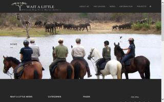 Wait A Little Horse Safaris