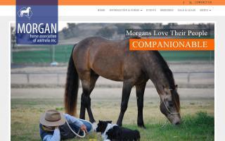 Morgan Horse Association of Australia - MHAA