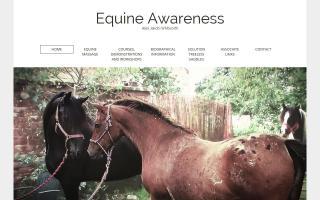 Equine Awareness
