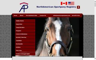 American Sportpony Registry
