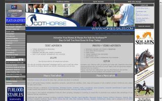 Horse-Sales.com
