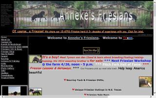 Anneke's Friesians