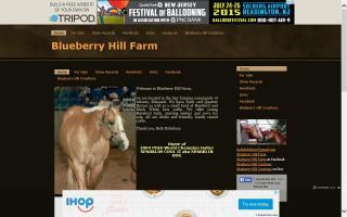 Blueberry Hill Farm Paint & Quarter Horses