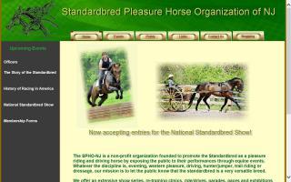 Standardbred Pleasure Horse of New Jersey
