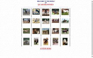 Quarter Pony Association - QPA