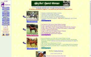 Wonderful Sport Horses